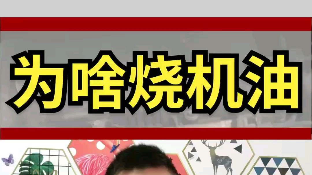 大众什么烧机油?丰田和大众怎选?修车工:丰田耐用,大众提速快